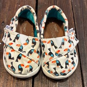 TOMS Toddler Shoes